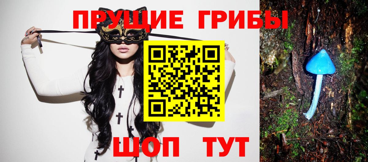 Галлюциногенные грибы Magic Shrooms  Вход с VPN  Чехов  Галлюциногенные грибы Psilocybe 